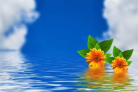 Kraj: Dzień Czystego Powietrza