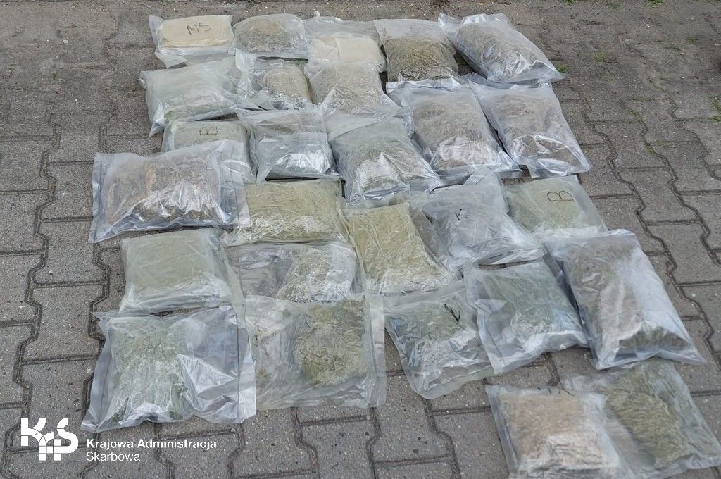 Region: Marihuana w kole zapasowym
