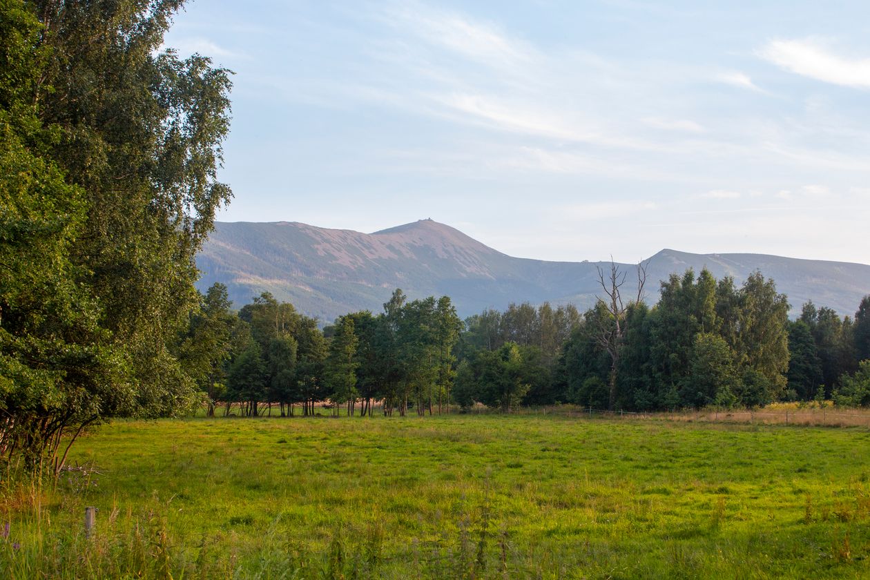 Kostrzyca: Park rozrywki nie tutaj?