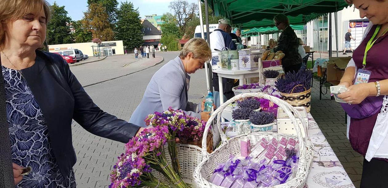 Kowary: Kwiatowy festiwal