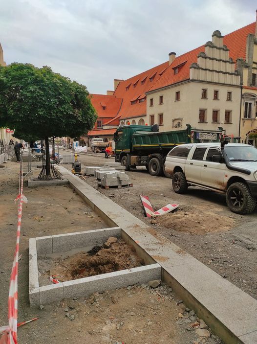 Lwówek Śląski: Przybędzie drzew