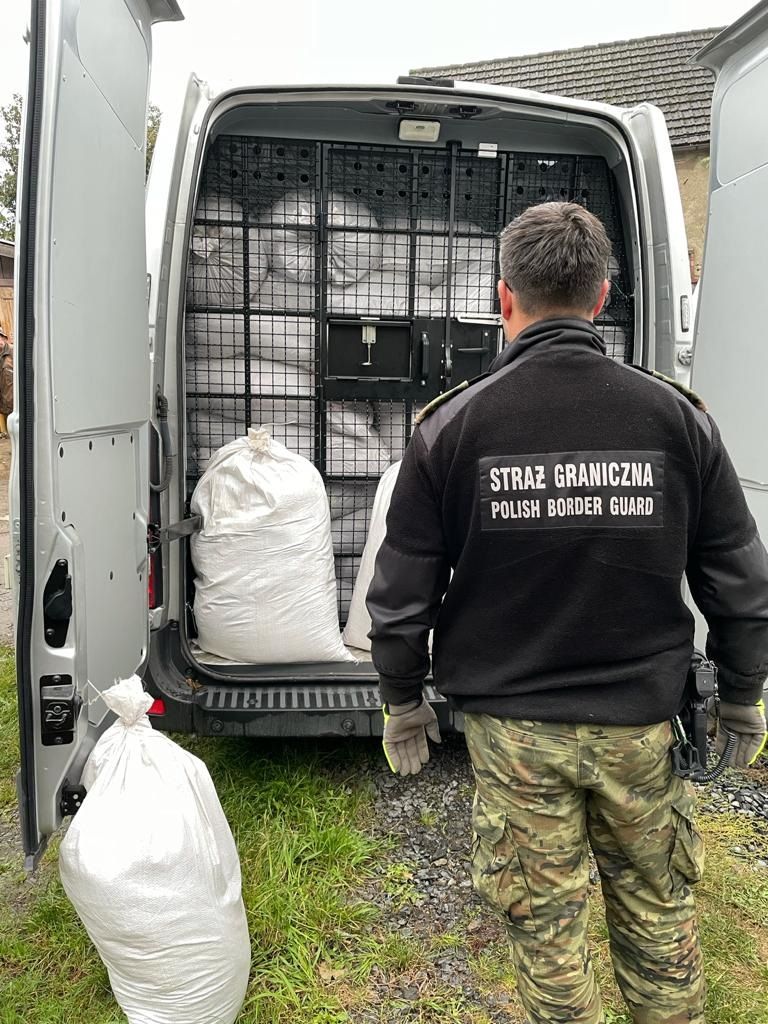 Jelenia Góra: Bus pełen krajanki tytoniowej bez akcyzy