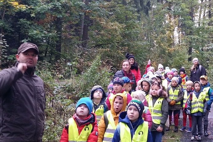 Jelenia Góra: Leśnym zwierzętom pomogą przetrwać zimę