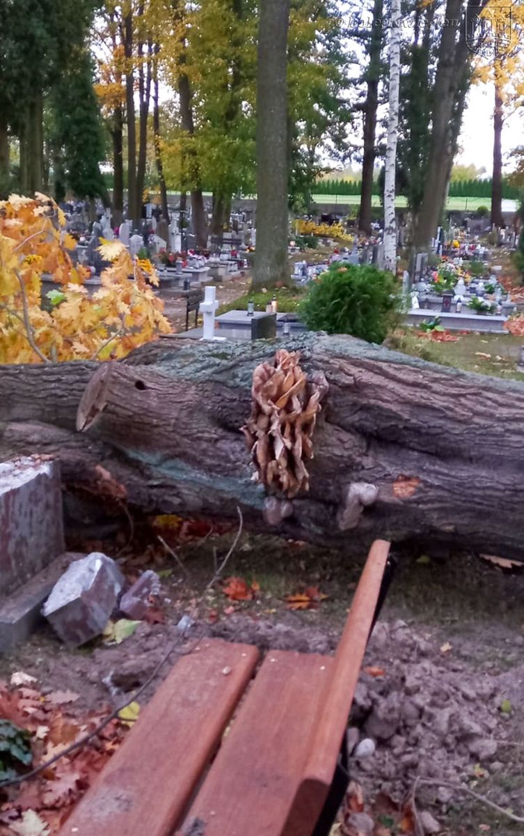 Bolesławiec: Sprzątają po wichurze