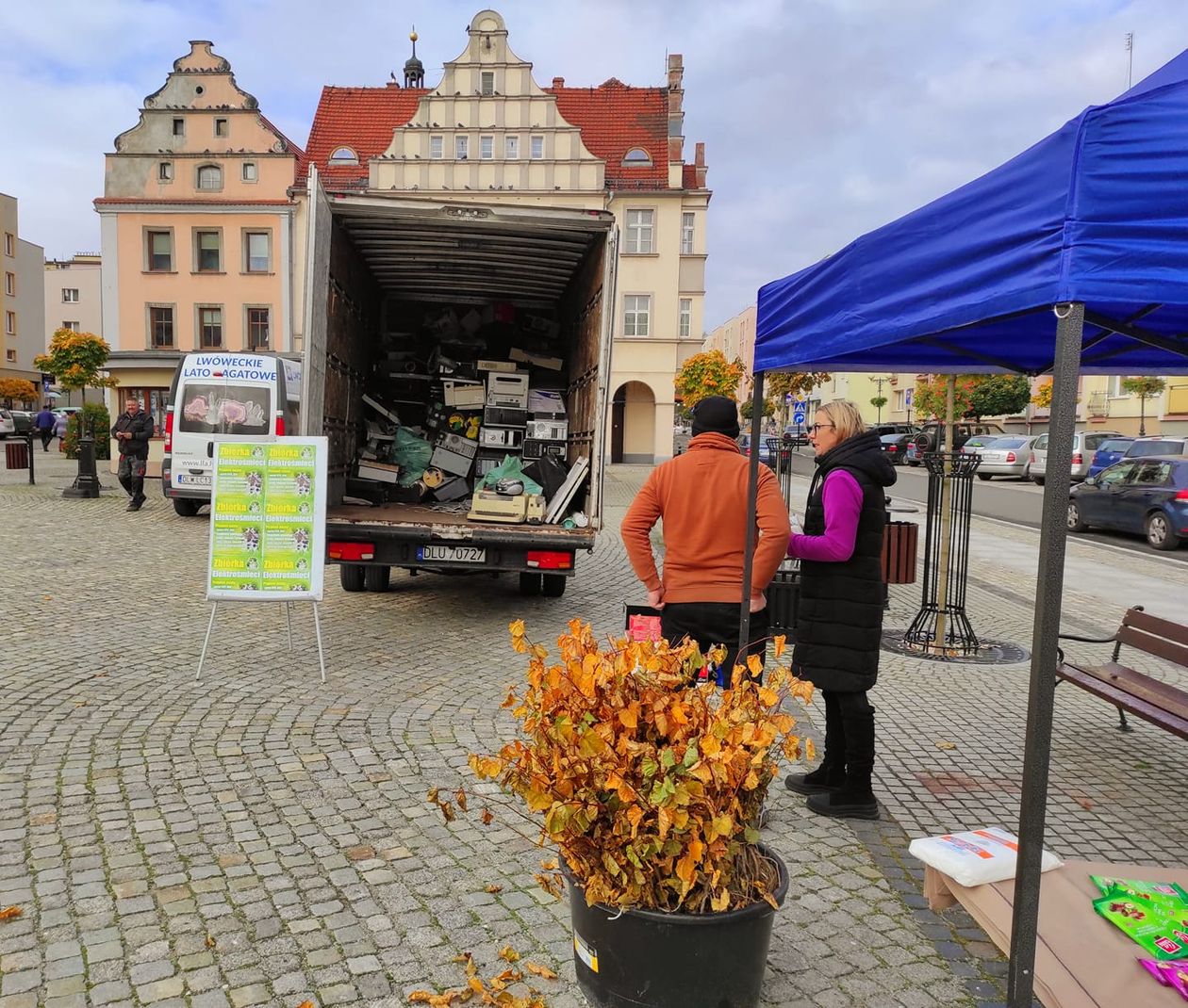 Lwówek Śląski: Sadzonka za śmieci