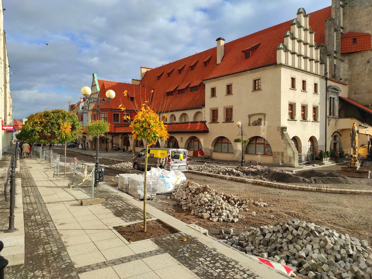 Lwówek Śląski: Nowe drzewa