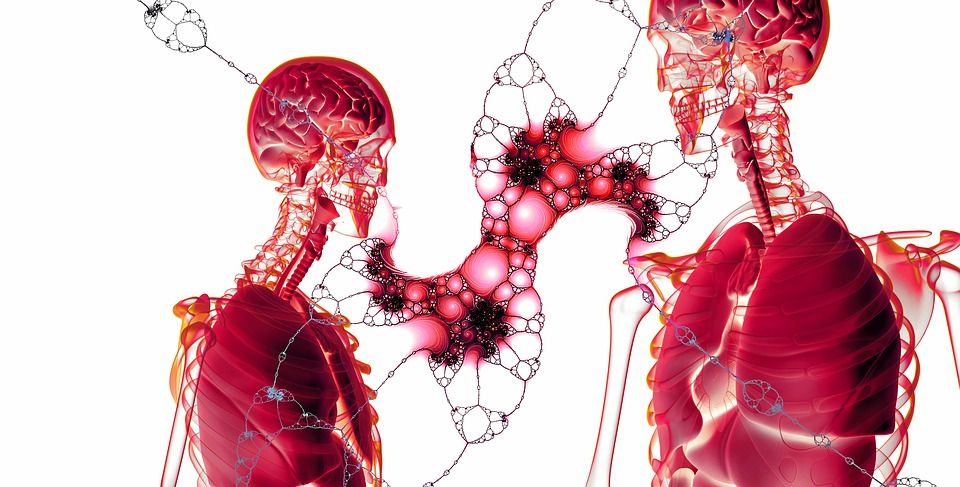 Kraj: Dzień Transplantacji