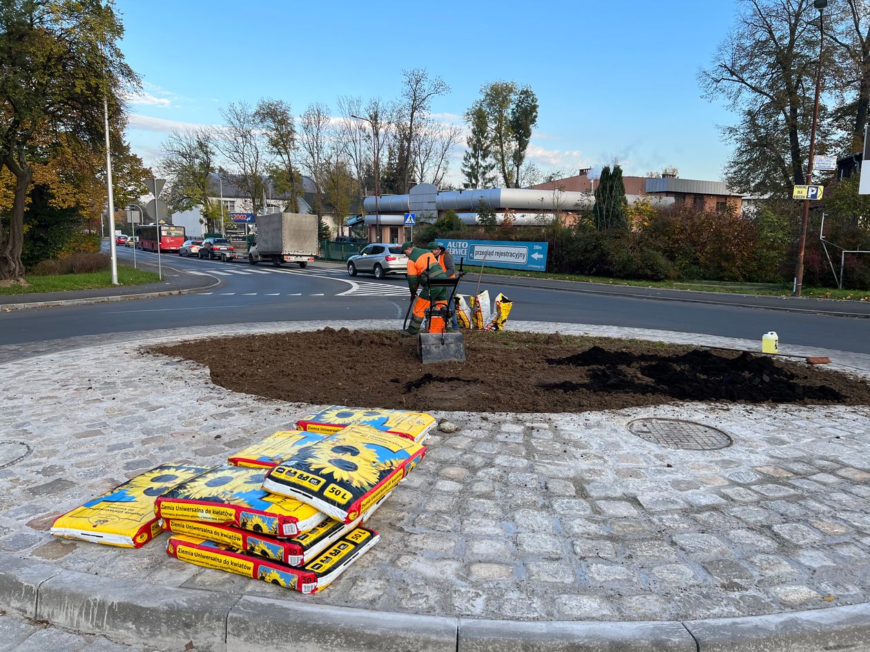 Jelenia Góra: Nowe rondo z roślinami