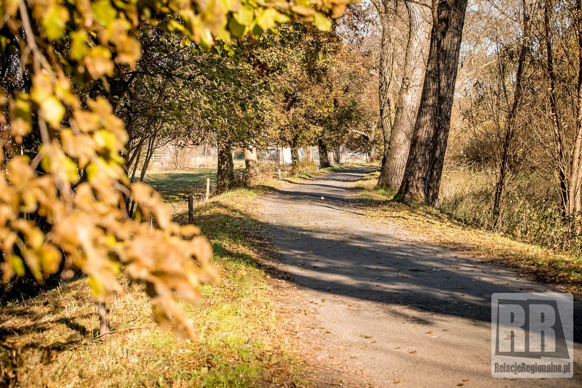 Krzeszów, Czadrów: Droga do remontu