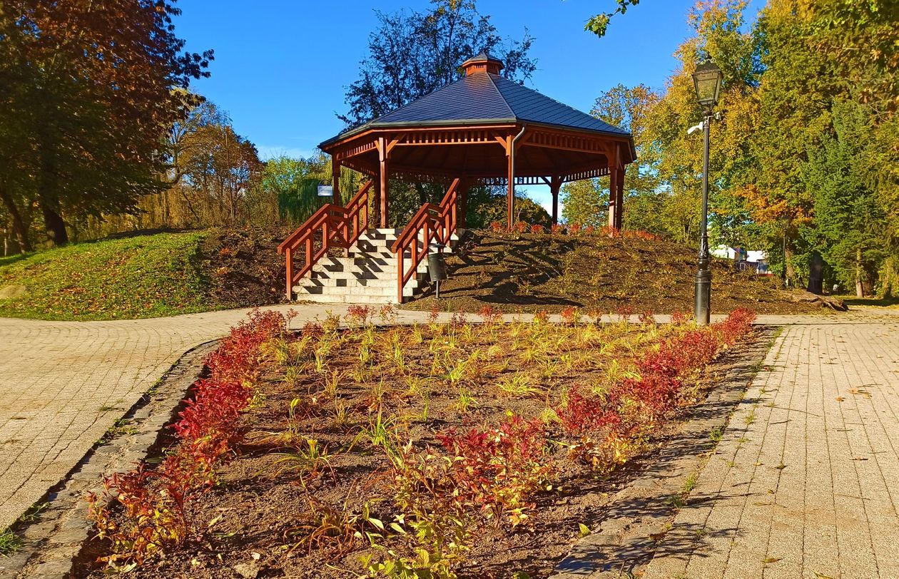 Lwówek Śląski: Park pełen zieleni