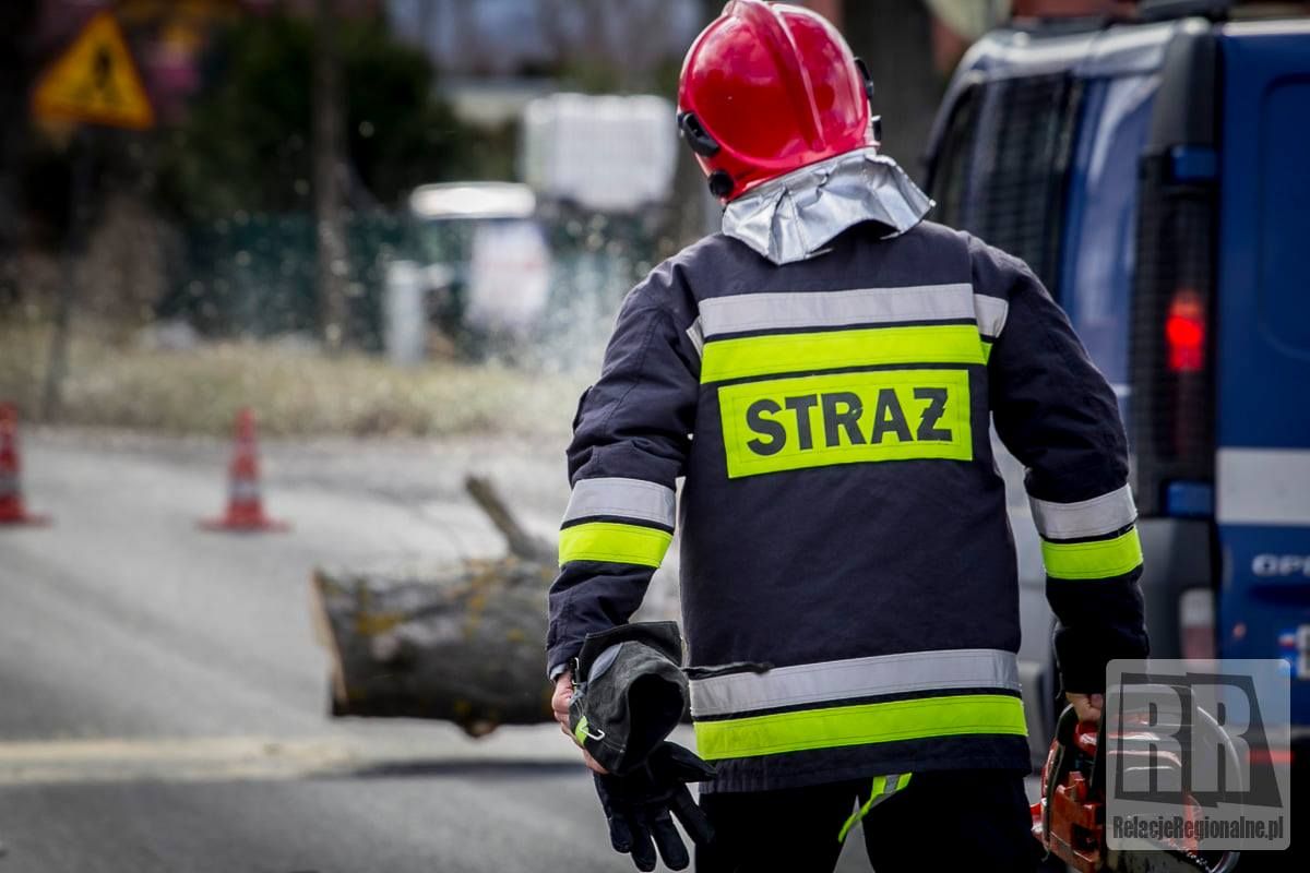 Gmina Lubawka: Wiatr powalił drzewo