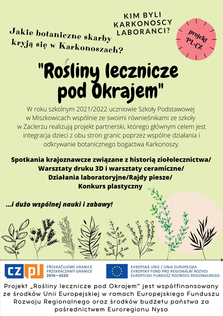 Lubawka: Rośliny pod Okrajem