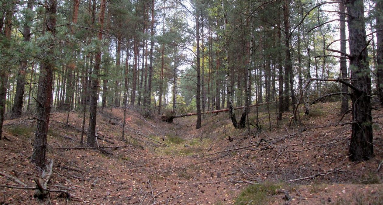 Świat/Region: Limes Poloniae