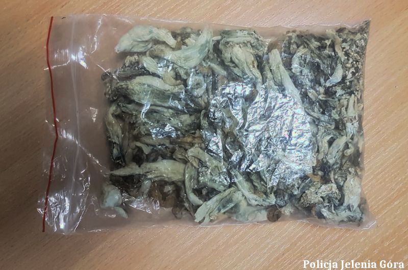 Jelenia Góra: Narkotykowy diler miał broń i amunicję
