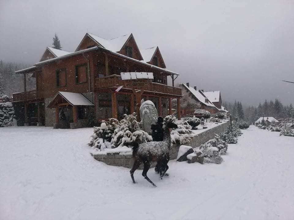 Karkonosze: Lama schwytana