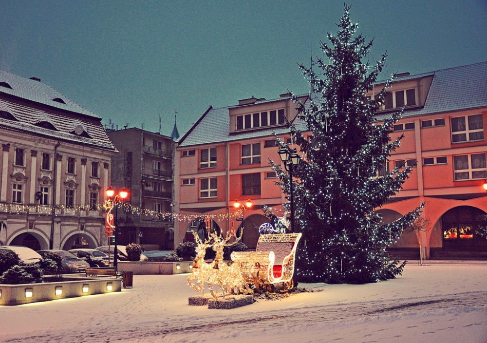 Jawor: Stanie choinka