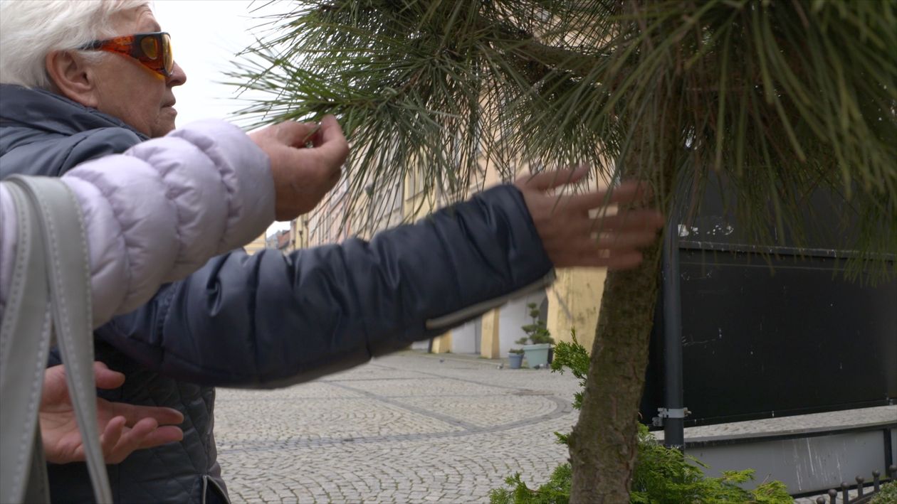 Jelenia Góra: Asystent osoby niepełnosprawnej. Co dalej?