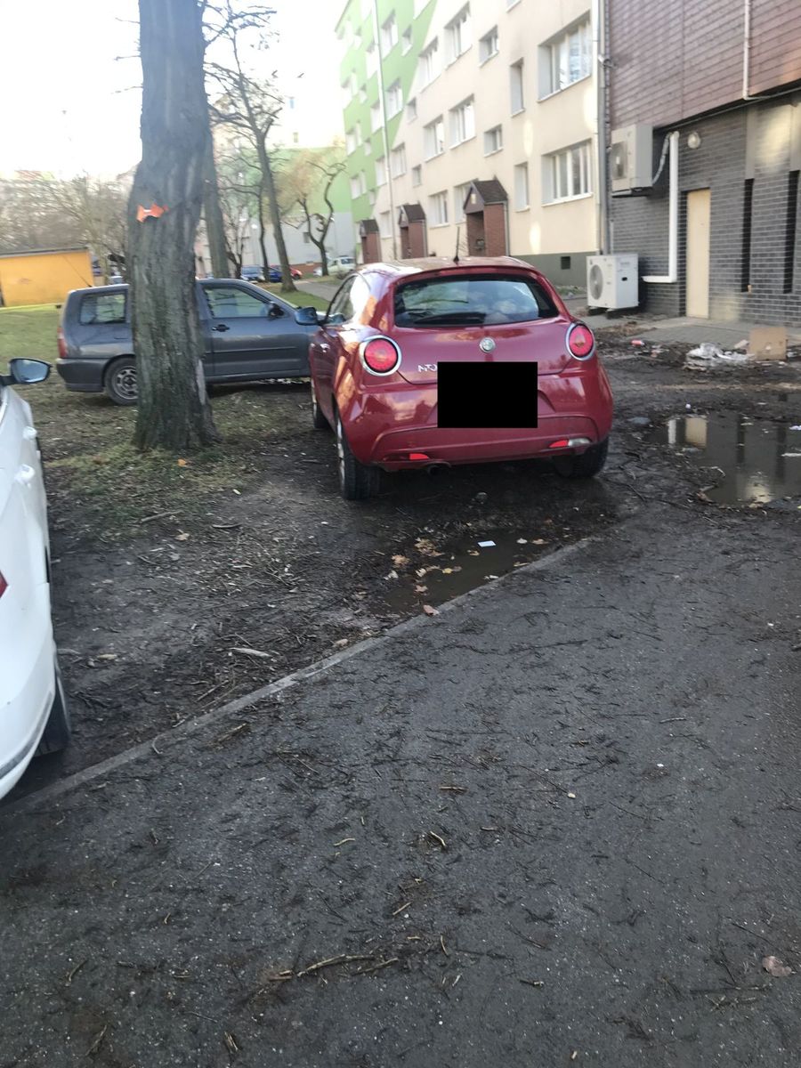 Jelenia Góra: „Dziki” parking