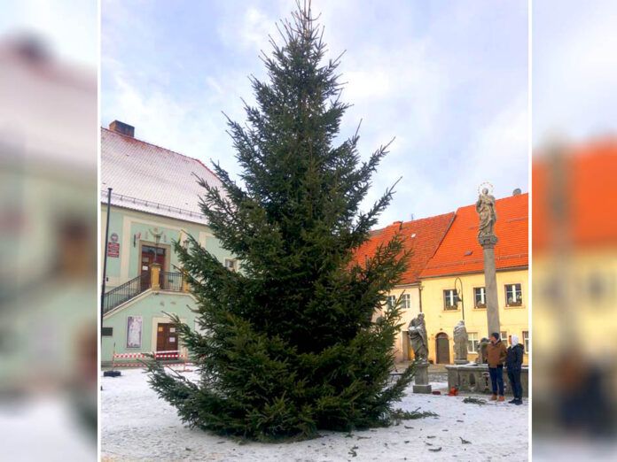 Lubomierz: Choinka już stoi