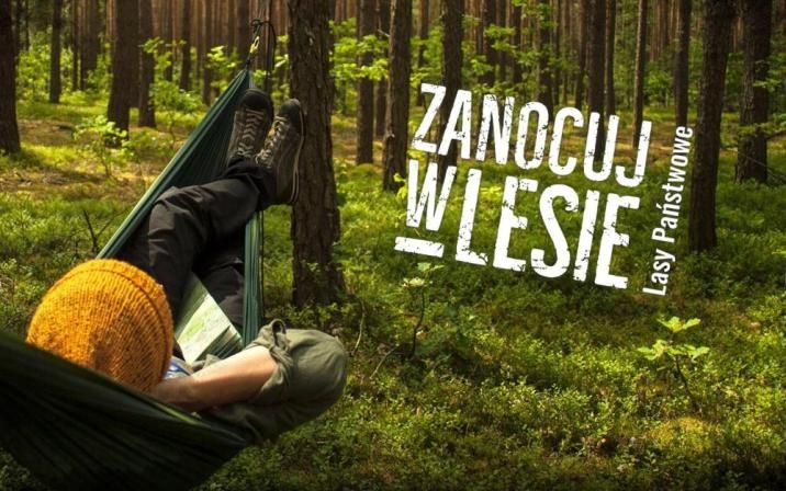 Powiat: Można zanocować w lesie