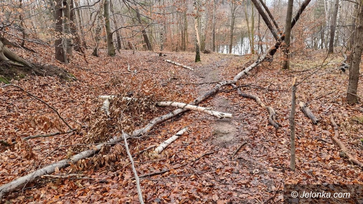 Jelenia Góra: Niebezpieczna ścieżka