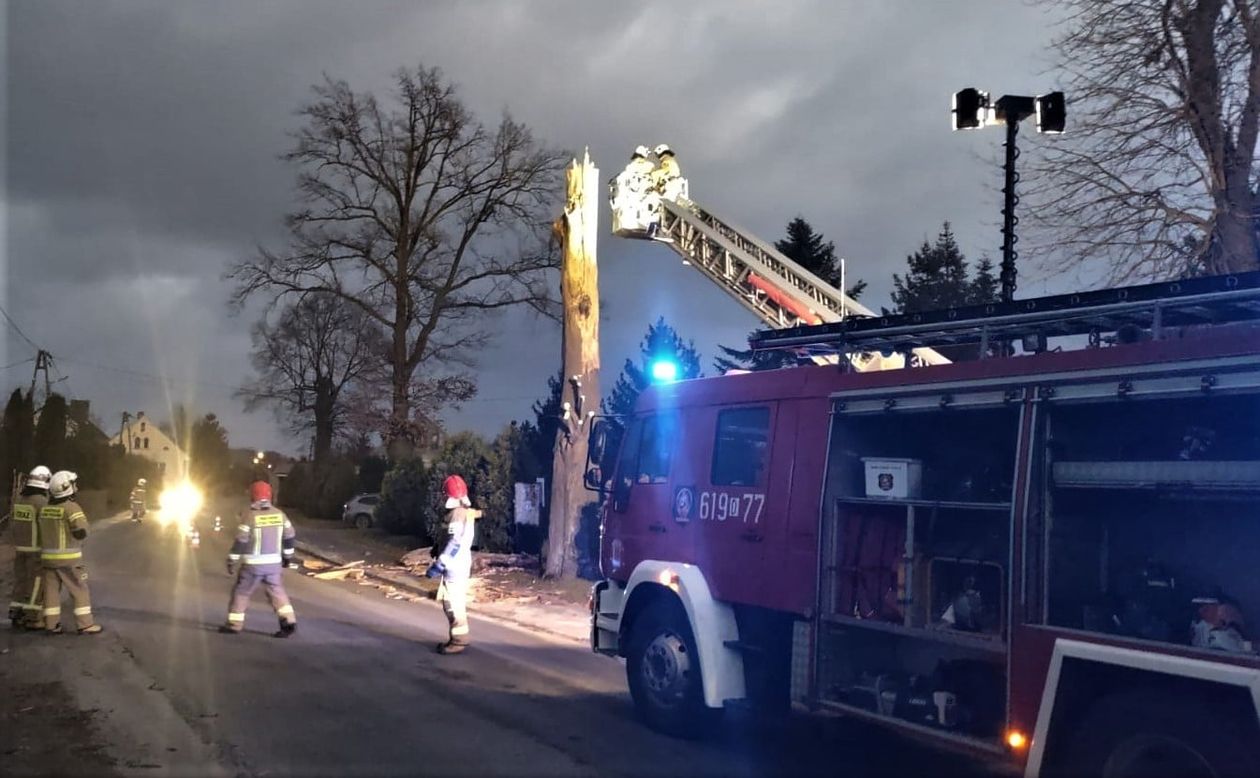 Powiat złotoryjski: Krajobraz po wichurze