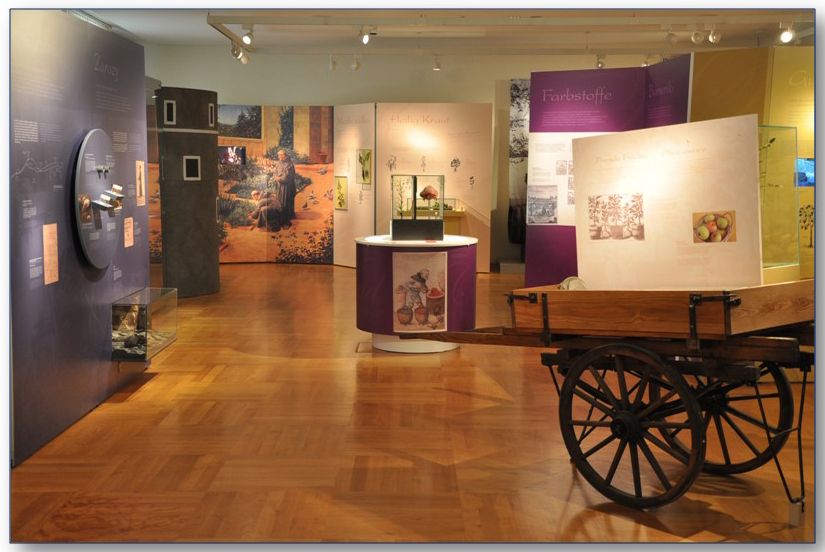 Jelenia Góra: O wędrówce gatunków w Muzeum Przyrodniczym