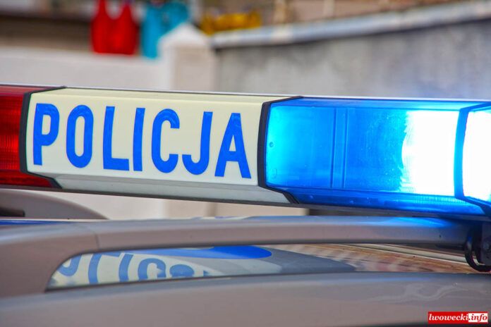 Gryfów Śląski: Kolizja z udziałem radiowozu