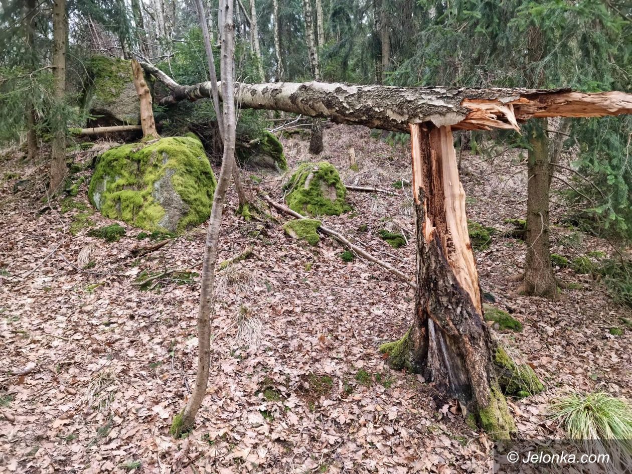 Dolny Śląsk: Wichury na Dolnym Śląsku