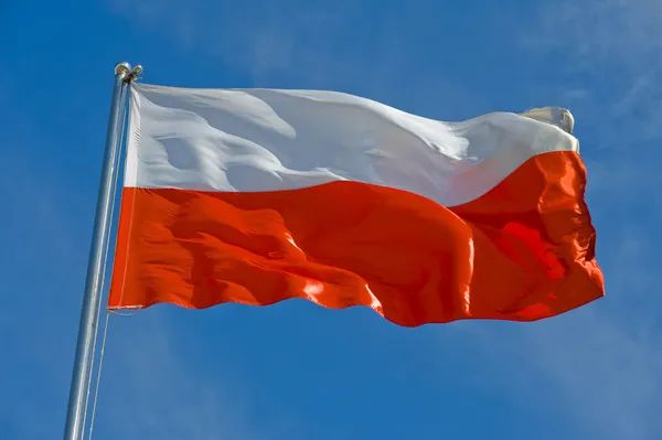 Kraj: Dzień Języka Ojczystego
