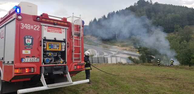 Jelenia Góra: Burza o zaręczyny