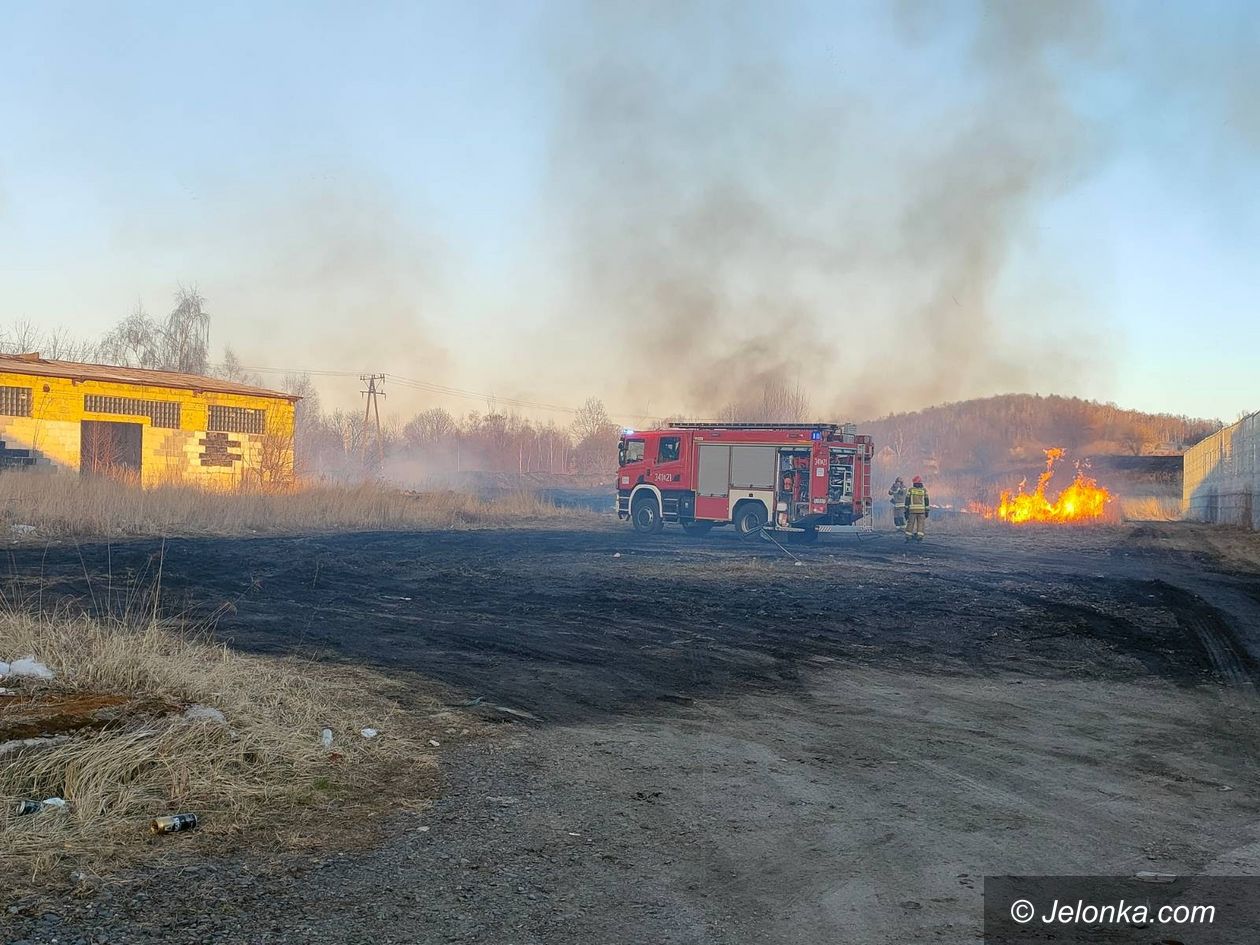 Jelenia Góra: Palą się nieużytki