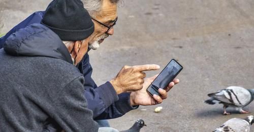 Bolesławiec: Senior online