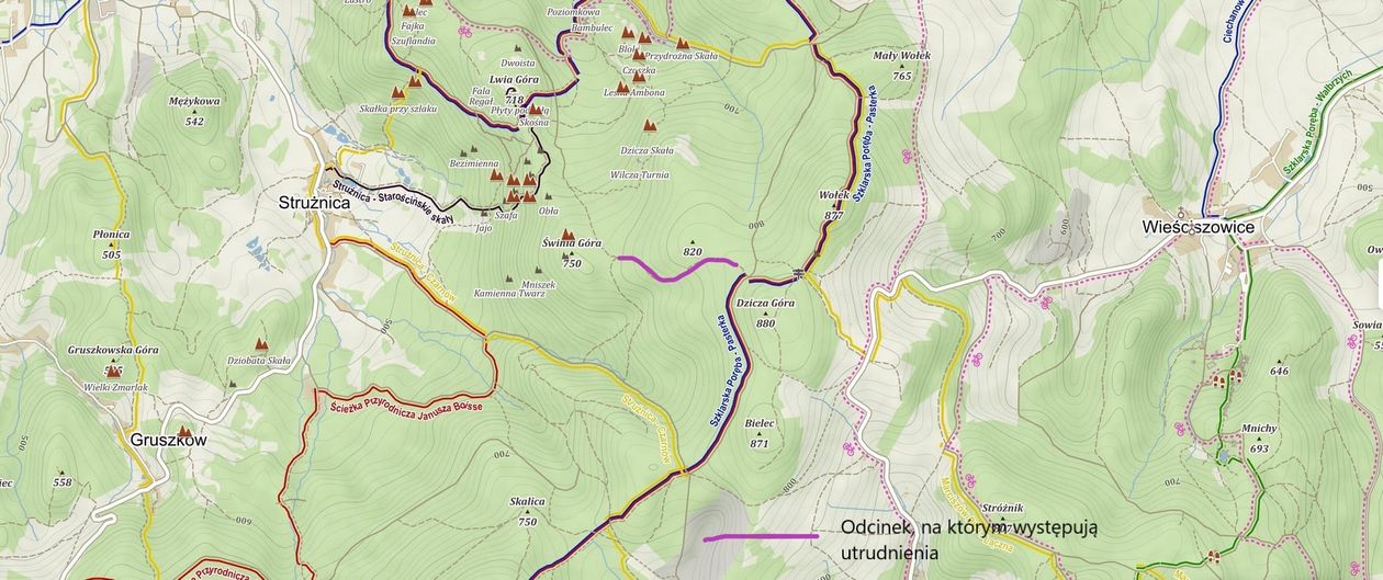 Janowice Wielkie: Utrudnienia na drodze leśnej