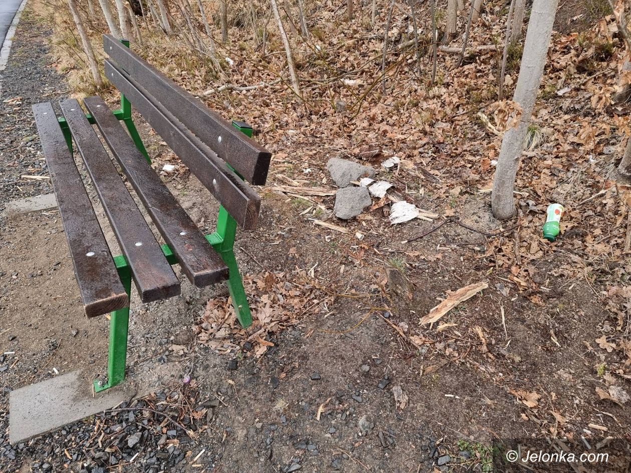 Jelenia Góra: Brak koszy na śmieci