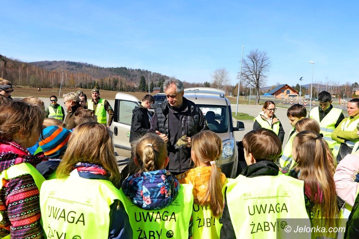 Jelenia Góra: Edukacja z KPN
