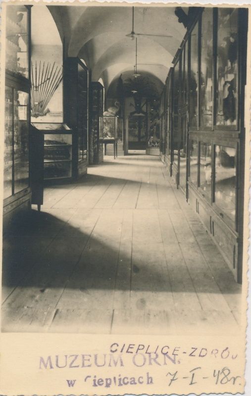 Jelenia Góra: Trudne początki Muzeum Przyrodniczego