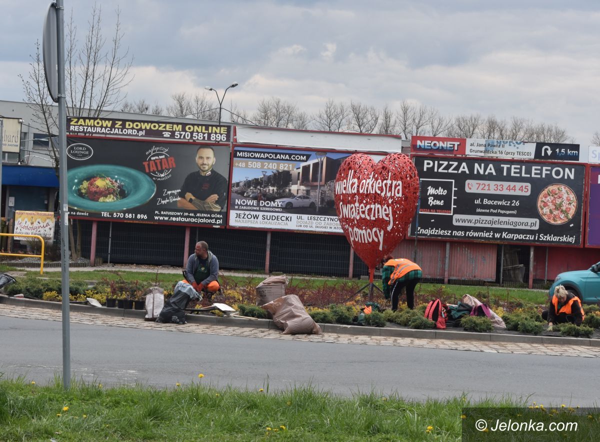 Jelenia Góra: Zazielenia się rondo WOŚP
