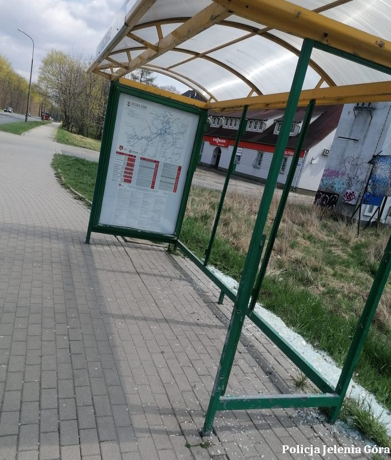 Jelenia Góra: Strzały na przystankach