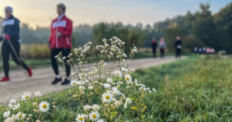 Złotoryja: Dla rekonwalescentów