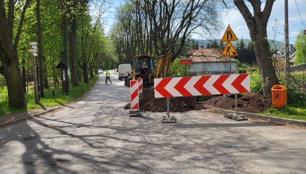 Janowice Wielkie: Ruszył remont alei