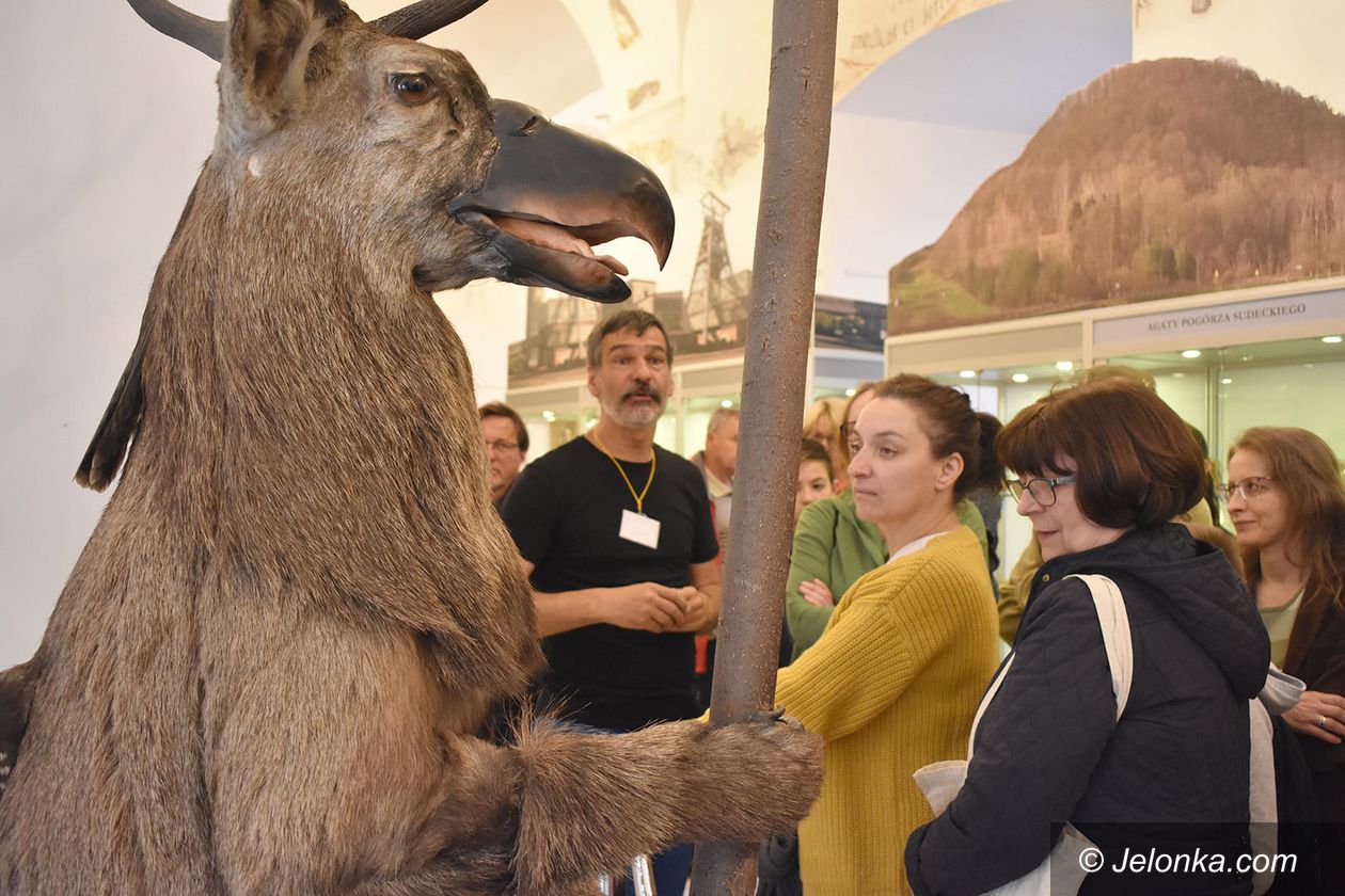 Jelenia Góra: Tłumy w Muzeum Przyrodniczym