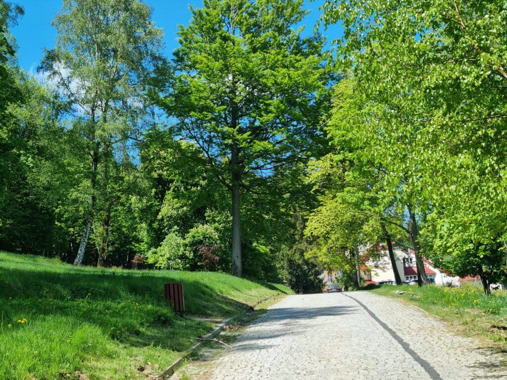 Świeradów- Zdrój: Zamiast ulic deptak
