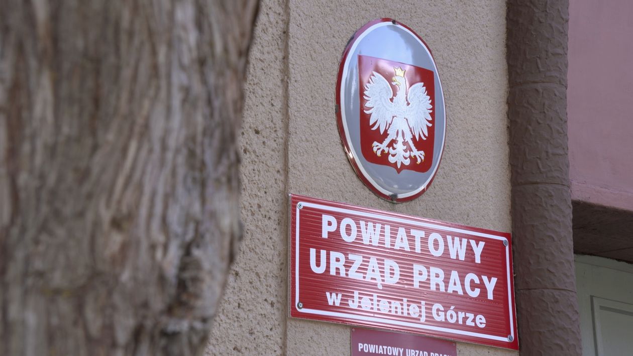 Jelenia Góra: Oferta dla bezrobotnych, pracodawców i pracowników