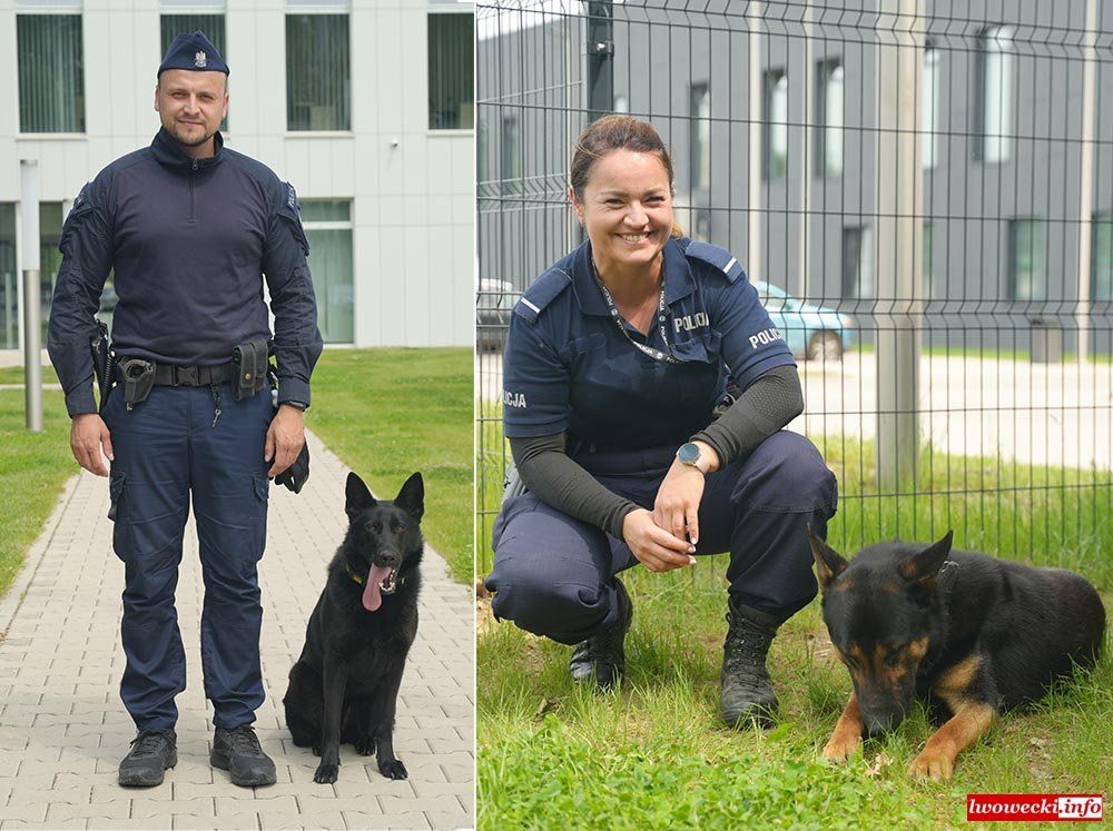 Lwówek Śląski: Czworonożni policjanci