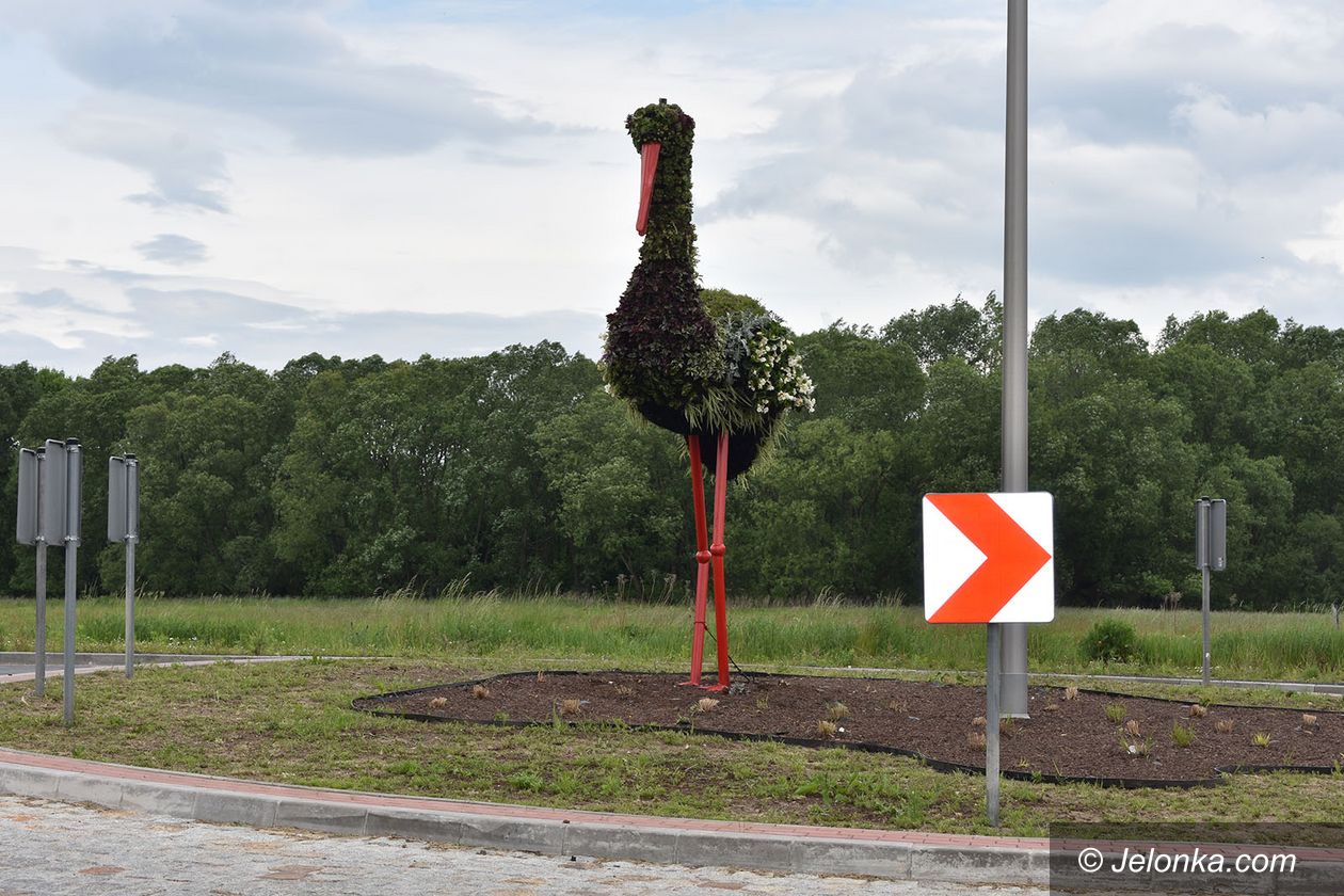 Podgórzyn: Bociek się zazielenił