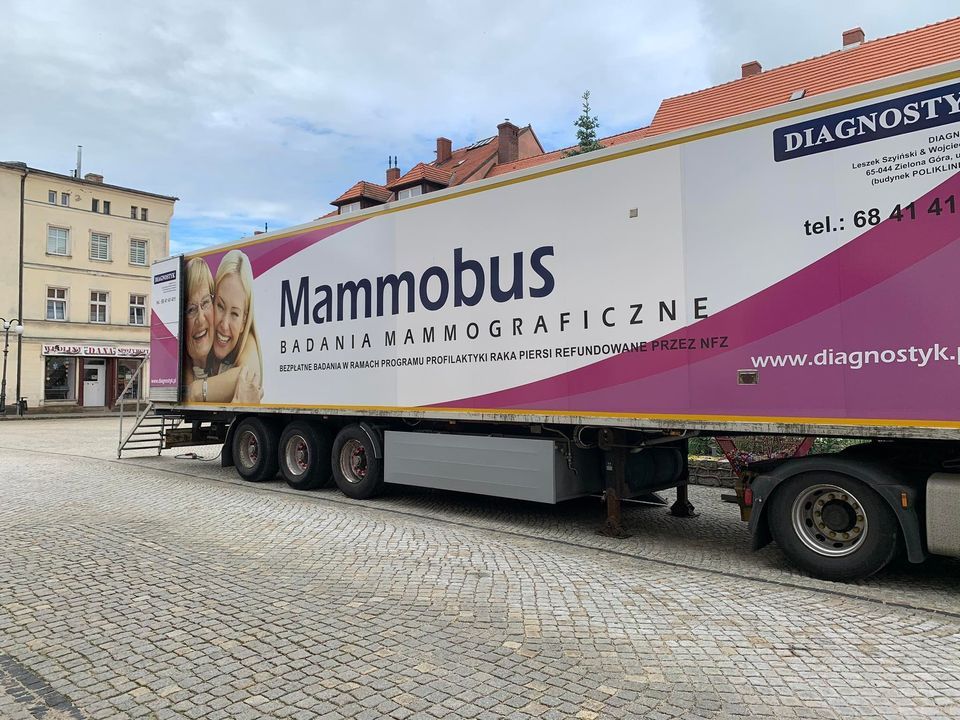 Lubawka: Stanie mammobus