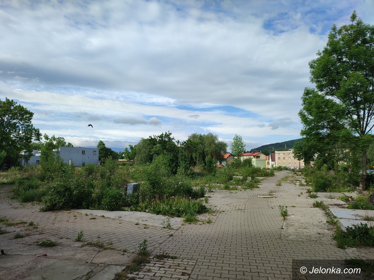 Jelenia Góra: Uporządkują teren po targowisku