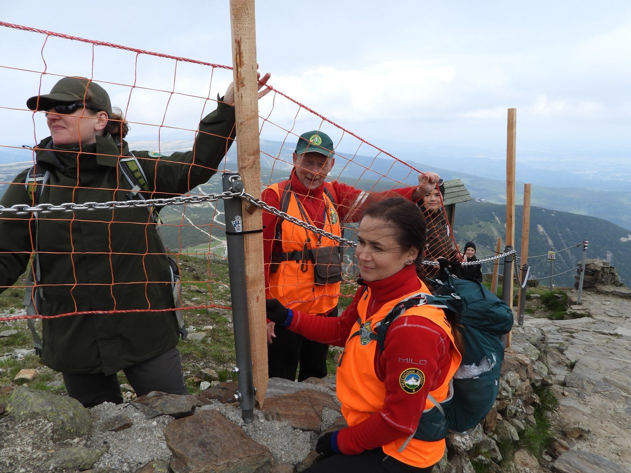 Karkonosze: Siatki pod Śnieżką