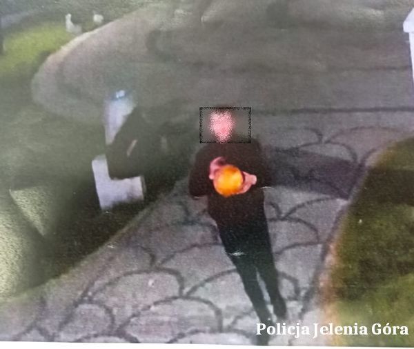 Piechowice: "Wyżyli" się na lampie